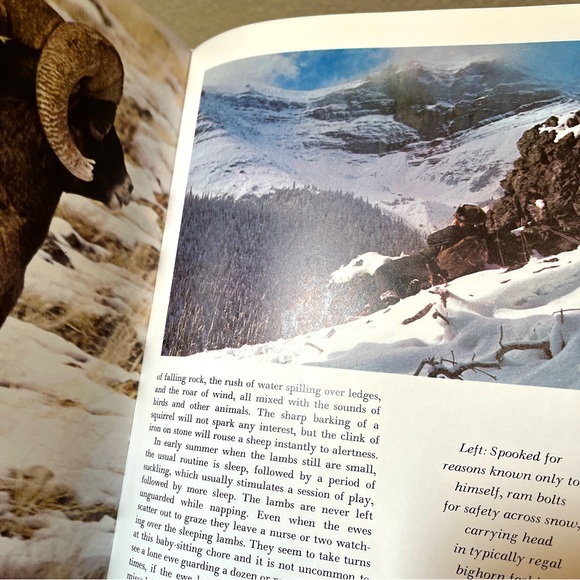 American Sportsman Treasury Hardcover w/DJ. EUC. Vintage 1971. Loads of Goodness - Picture 5 of 8